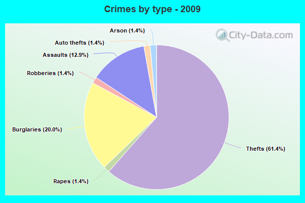 Crimes by type - 2009