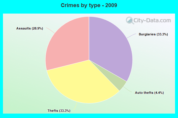 Crimes by type - 2009