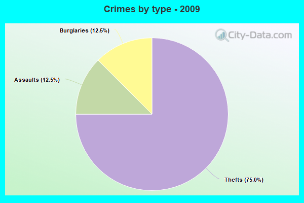 Crimes by type - 2009