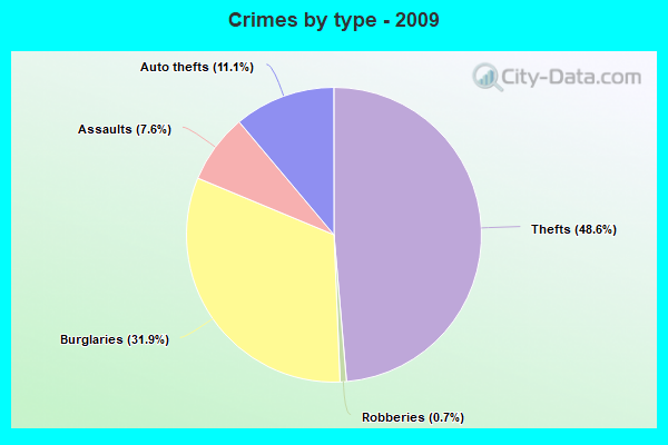 Crimes by type - 2009