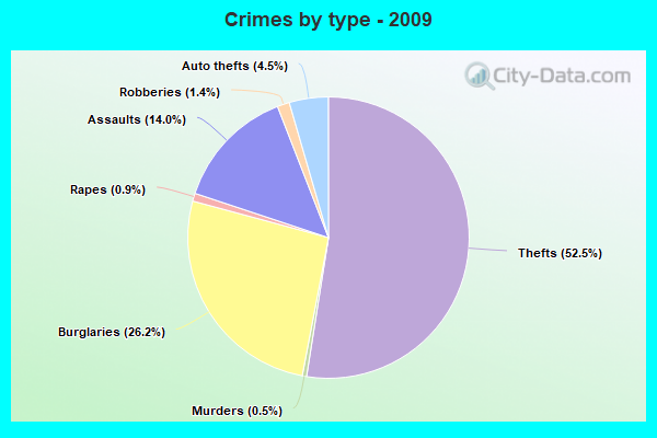 Crimes by type - 2009