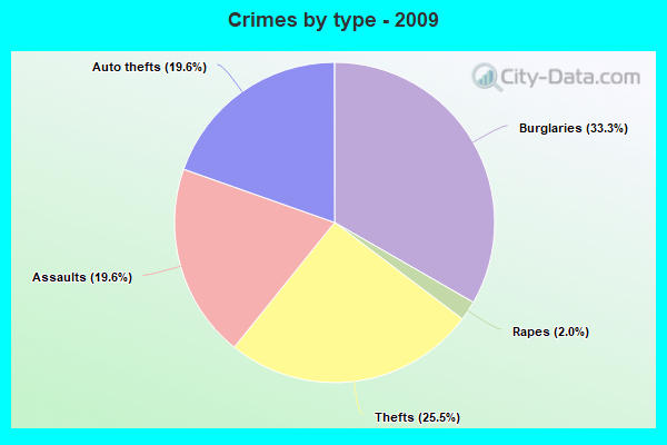 Crimes by type - 2009