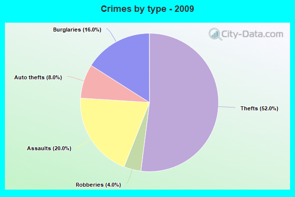 Crimes by type - 2009