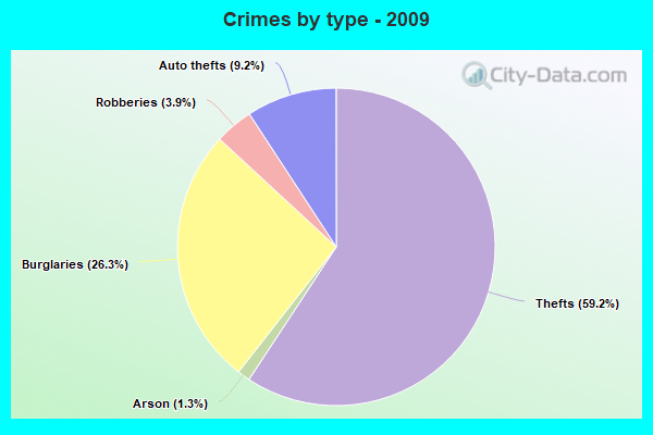 Crimes by type - 2009