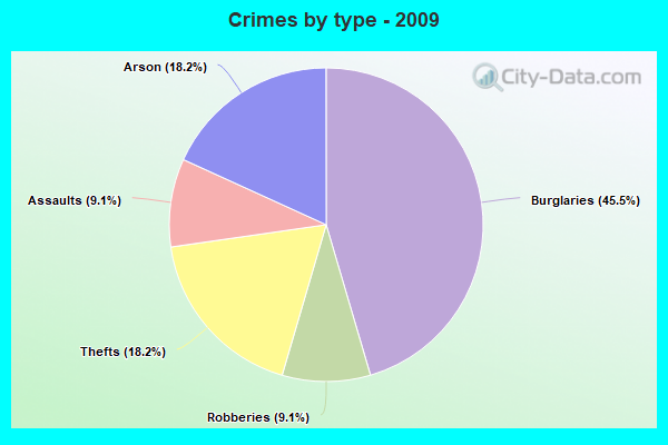 Crimes by type - 2009