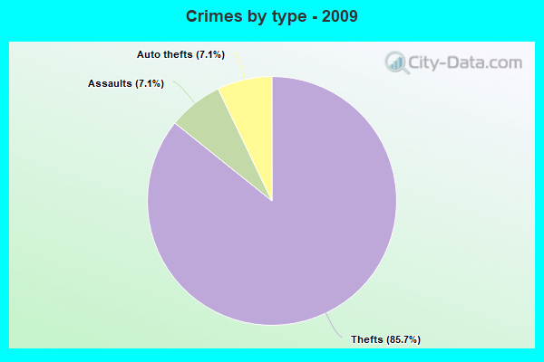 Crimes by type - 2009