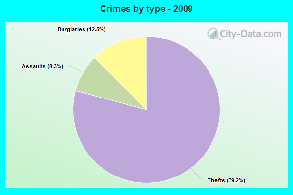 Crimes by type - 2009