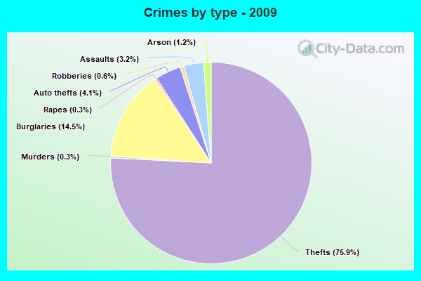 Crimes by type - 2009