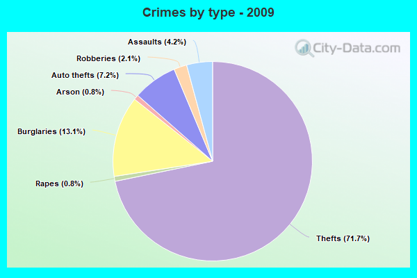 Crimes by type - 2009