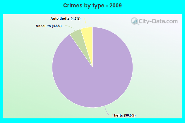 Crimes by type - 2009