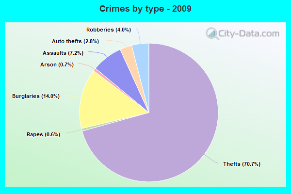 Crimes by type - 2009