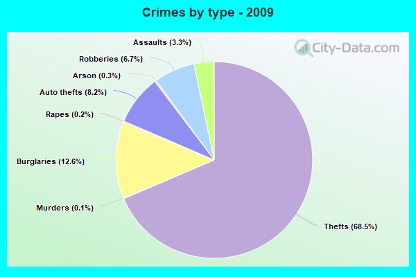 Crimes by type - 2009