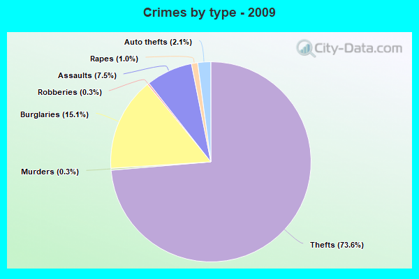 Crimes by type - 2009