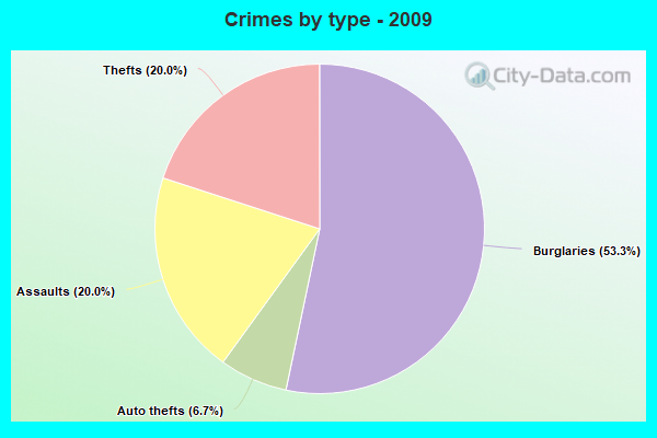 Crimes by type - 2009