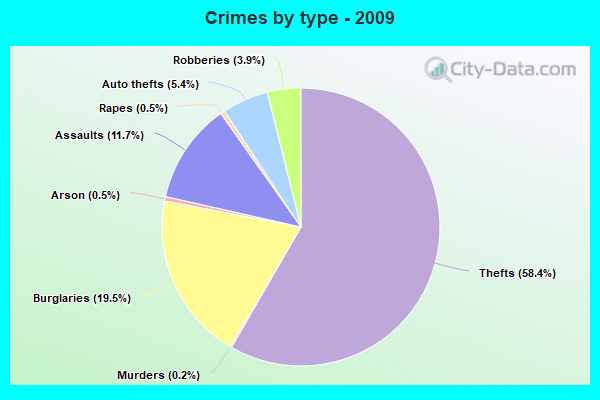 Crimes by type - 2009