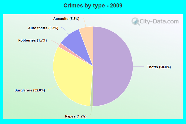 Crimes by type - 2009