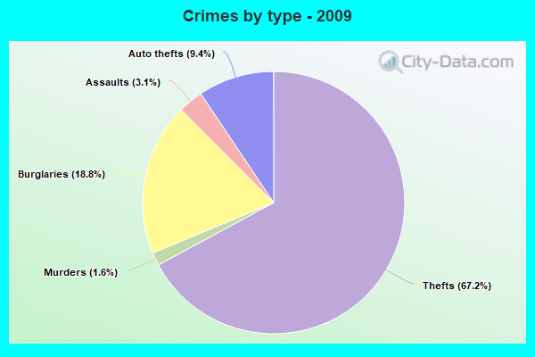 Crimes by type - 2009