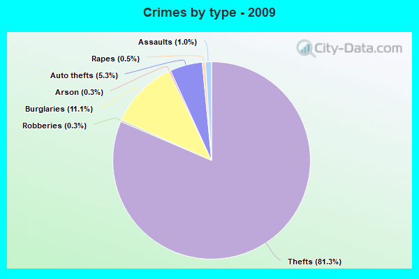 Crimes by type - 2009