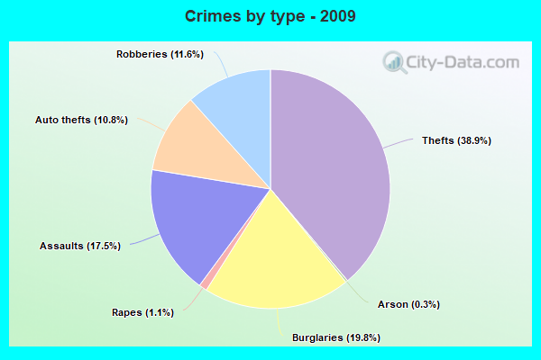 Crimes by type - 2009