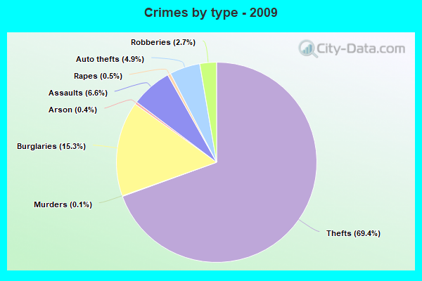 Crimes by type - 2009