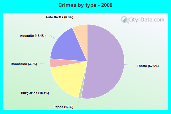 Crimes by type - 2009