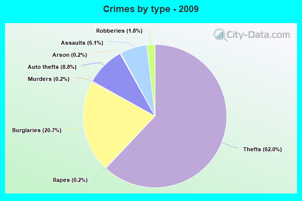 Crimes by type - 2009