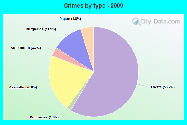 Crimes by type - 2009