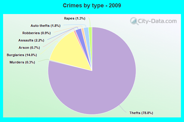 Crimes by type - 2009