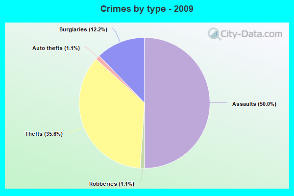 Crimes by type - 2009