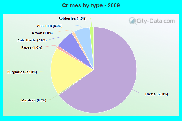 Crimes by type - 2009