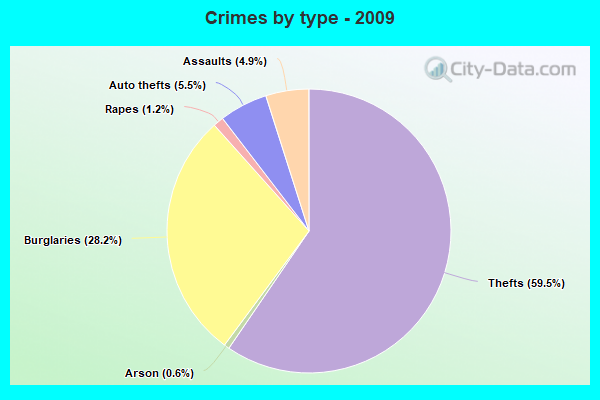 Crimes by type - 2009