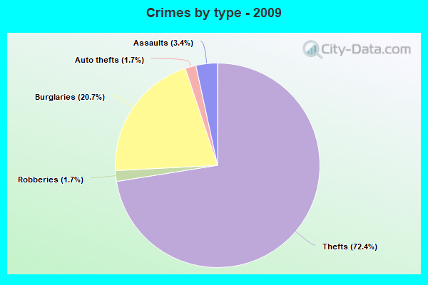 Crimes by type - 2009