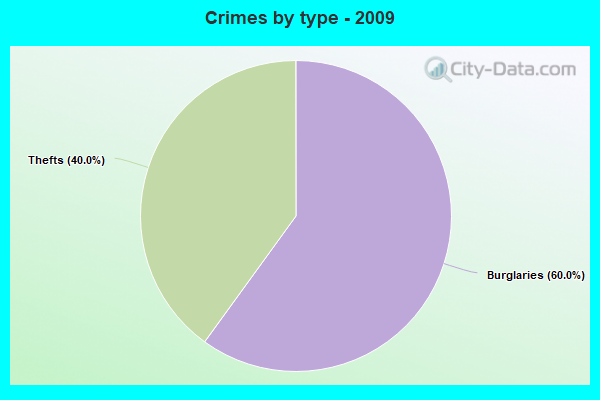 Crimes by type - 2009