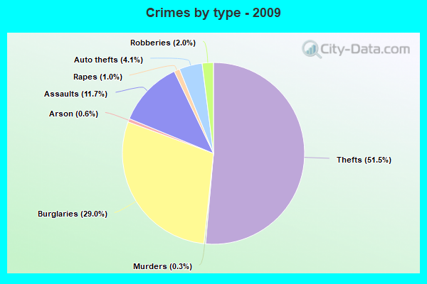 Crimes by type - 2009