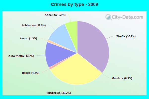 Crimes by type - 2009