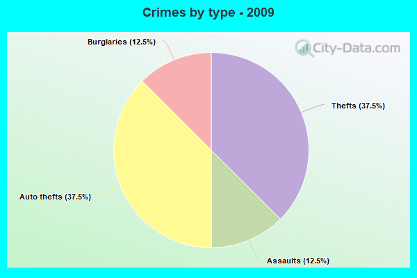 Crimes by type - 2009