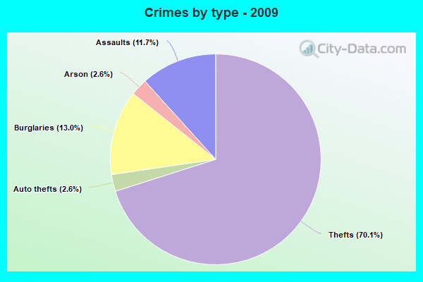 Crimes by type - 2009