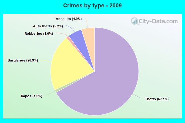 Crimes by type - 2009