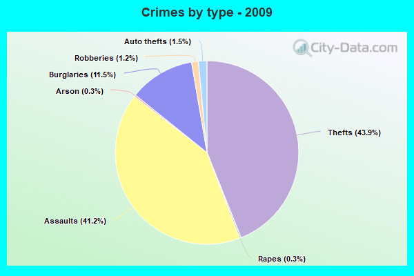 Crimes by type - 2009