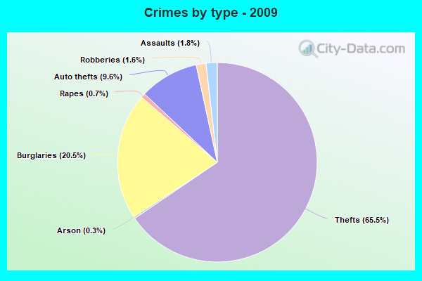 Crimes by type - 2009