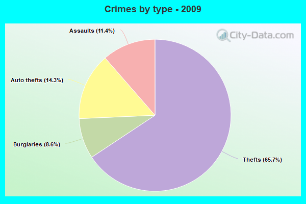 Crimes by type - 2009