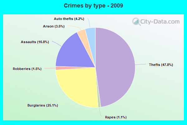 Crimes by type - 2009