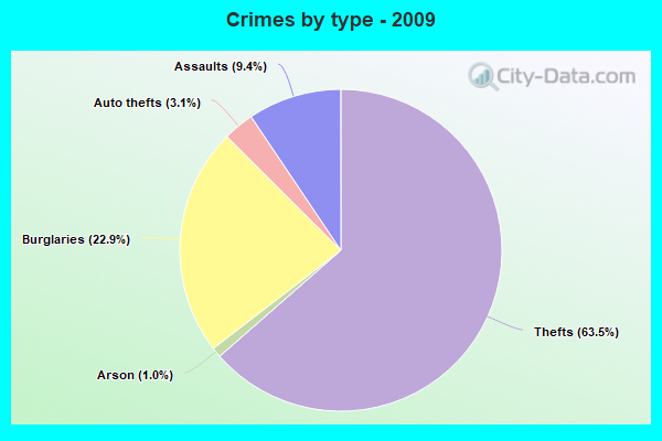 Crimes by type - 2009