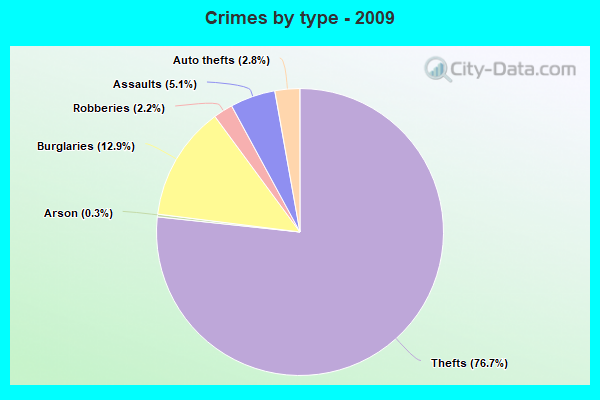 Crimes by type - 2009