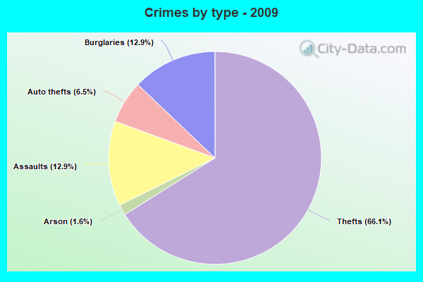 Crimes by type - 2009