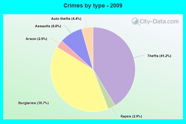 Crimes by type - 2009