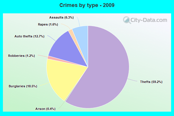 Crimes by type - 2009