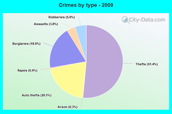 Crimes by type - 2009