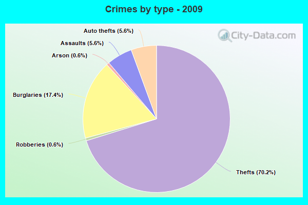 Crimes by type - 2009