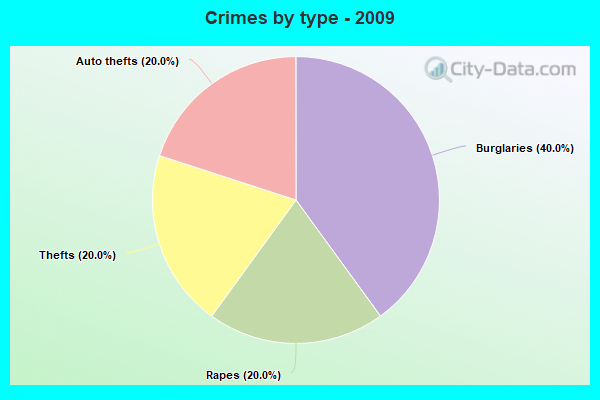 Crimes by type - 2009